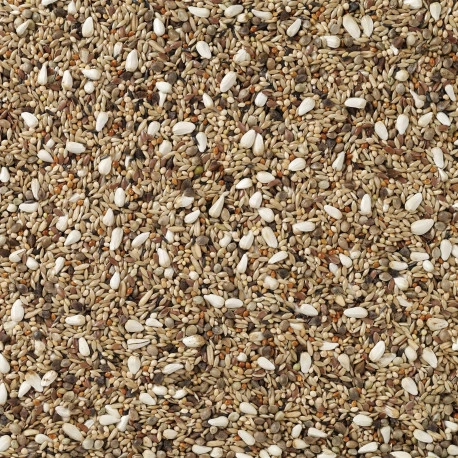 Deli Nature Agapornis Champion 20kg (72) - Image 2