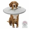 Trixie Collerette De Protection - M