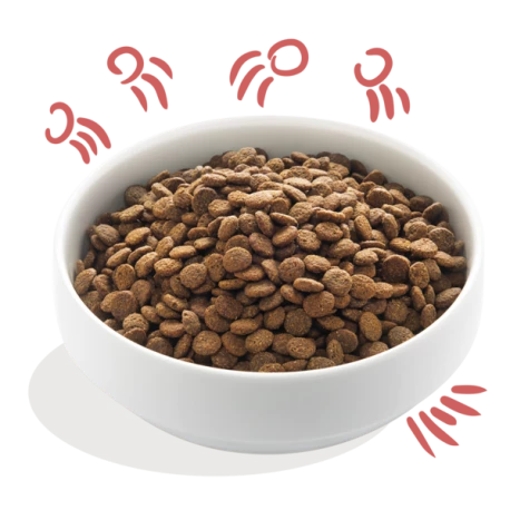 Croquettes Senior Poulet Frais Élevé En Plein Air & Saumon Norvégien 12kg - Edgard Et Cooper - Image 2