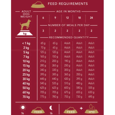 Delcon Junior 12kg - Image 3