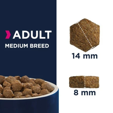 Eukanuba Adult Medium Breed Poulet Pour Chien 12kg - Image 3