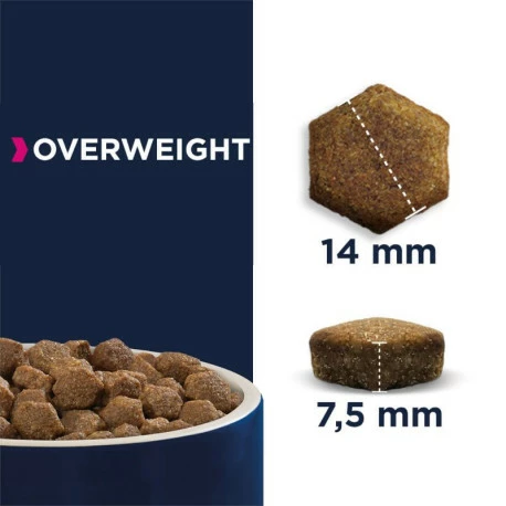 Eukanuba Daily Care Overweight Adult Pour Chien 12kg - Image 3