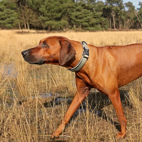 Explor Fit Comfy Collier Classic Vert M - 39-44cm - Image 4