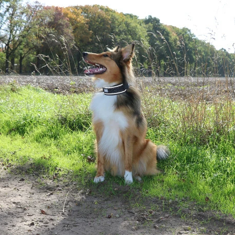 Explor Fit Control Collier Classic Noir XL - 52-61cm - Image 5