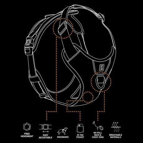 Explor Harnais Classic Vert S - 25-45cm - 42-60cm - Image 3