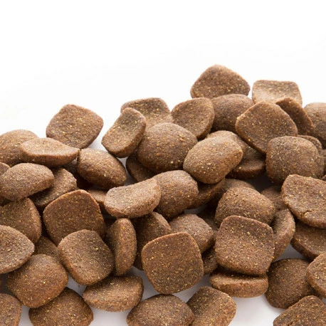 Euro Premium Giant Adult Lamb & Rice 15kg - Image 2