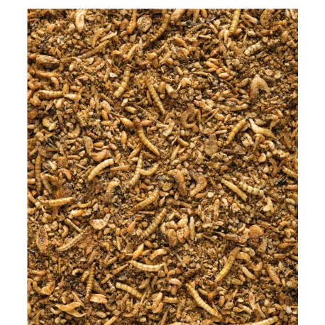 VERSELE-LAGA Insect Patee Premium 500g - Aliment Complet Pour Tous Les Insectivores - Image 2