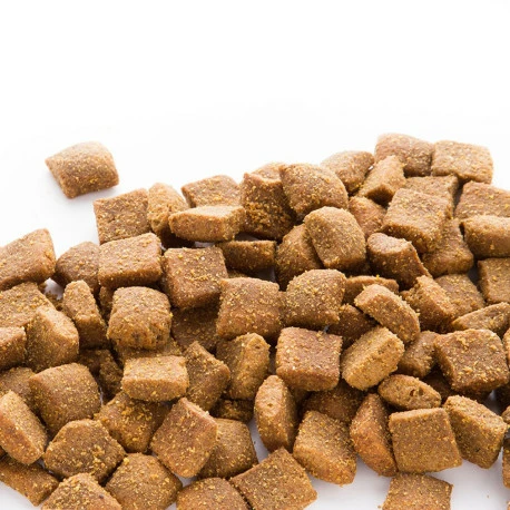 Euro Premium Large Adult Chicken & Rice 15kg - Image 2