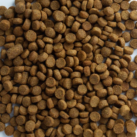 Euro Premium Medium To Large Adult Turkey 7,5kg - Image 2