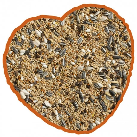 Grandes Perruches Duvo 20 Kg - Image 2