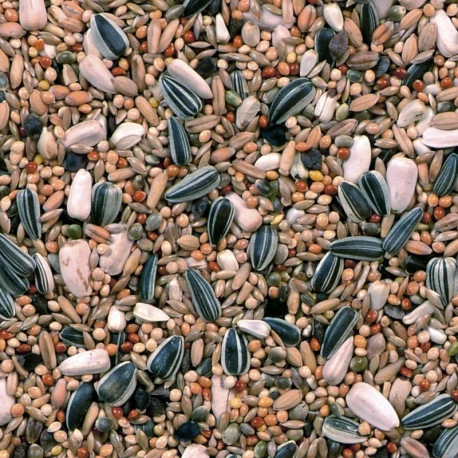 Grandes Perruches Duvo 20 Kg - Image 4