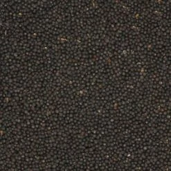 Animalis Navette 20kg