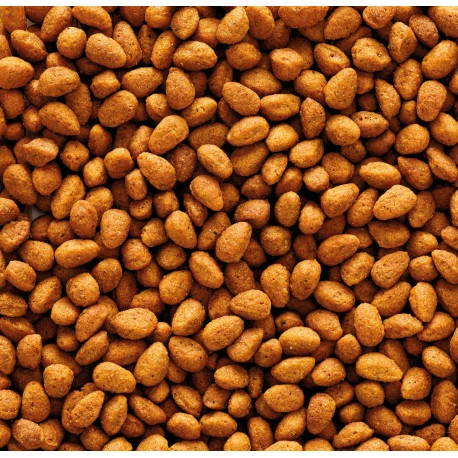 VERSELE-LAGA Nutribird G14 Original 10kg - Image 2