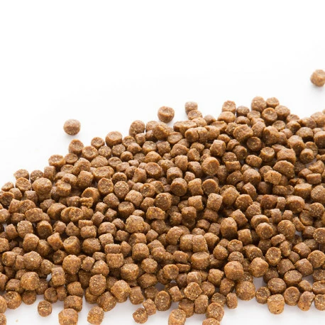 Euro Premium Small Puppy Chicken & Rice 12kg - Image 2