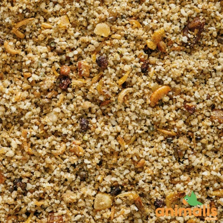 VERSELE-LAGA Uni Pâtée 25kg - Aliment Complet Pour Les Petits Frugivores Et Insectivores - Image 2